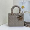 Lady Dior My ABCDior Mini Bag – Gray Lambskin