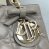 Lady Dior My ABCDior Mini Bag – Gray Lambskin