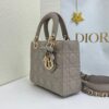 Lady Dior My ABCDior Mini Bag – Gray Lambskin
