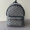 Dior Oblique Backpack – Blue