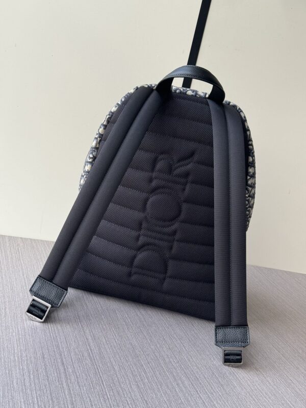 Dior Oblique Backpack – Blue