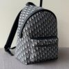 Dior Oblique Backpack – Blue