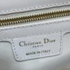 Dior Women's Spring/Summer 2026 New Single-Handle Bow Handbag/Shoulder Bag