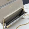 sy_no_0F7AA84325E60003C19D4BC22FF6EEA0_6 Chanel Wallet on Chain (WOC) – Quilted Caviar Calfskin with Gold Ball Clasp