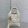 DIOR Toujours Mini Handbag – Black Oiled Calfskin