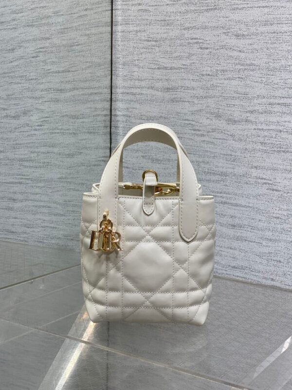 DIOR Toujours Mini Handbag – Black Oiled Calfskin