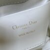 DIOR Toujours Mini Handbag – Black Oiled Calfskin