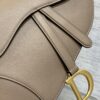 DIOR Women’s Grained Calfskin Saddle Bag