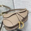 DIOR Women’s Grained Calfskin Saddle Bag
