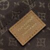 Louis Vuitton Express MM Handbag