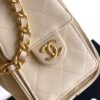 sy_no_2557665DF39923DA795BCBE2AE5E4E14_6 Chanel Mini Hobo Bag – Grained Calfskin (Caviar) with Large Buckle, Chain Strap, and Shoulder/Crossbody Design