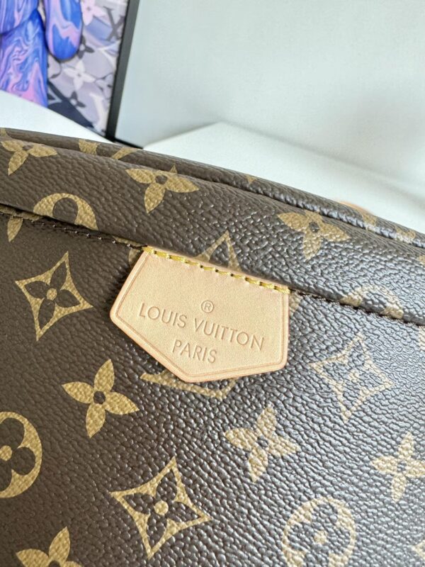 sy_no_2AC9739AC33F69B8F1F0A350CBBEB97B_4 Louis Vuitton Bumbag – Monogram Canvas