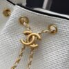sy_no_30D478201F730BECCD2D4B334DF2FE3E_4 Chanel 26C Mini Woven Hobo Bag – Quilted Woven Calfskin Leather with Gold Hardware