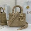 Lady Dior My ABCDior Mini Bag – Warm Gray-Brown Lambskin