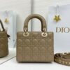Lady Dior My ABCDior Mini Bag – Warm Gray-Brown Lambskin