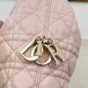 Toujours Hobo Mini Bag – Pink Lambskin