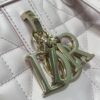sy_no_3C2F64A23E5A411E8DCD2EFC869EC52B_1 Dior Toujours Medium Tote Bag (Shoulder/Hand-Carry)