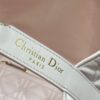 sy_no_3C2F64A23E5A411E8DCD2EFC869EC52B_3 Dior Toujours Medium Tote Bag (Shoulder/Hand-Carry)