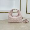 Toujours Hobo Mini Bag – Sakura Pink Lambskin