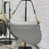 DIOR Women’s Grained Calfskin Saddle Bag