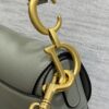 DIOR Women’s Grained Calfskin Saddle Bag