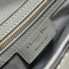 DIOR Women’s Grained Calfskin Saddle Bag