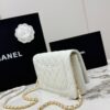 sy_no_4545C1976395A5CE0B632B344EEEE112_1 White Quilted Textured Calfskin WOC Chain Wallet
