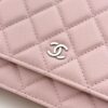 sy_no_463B7AF8FA9301EB621FF862EEC003C3_4 Pink Quilted Textured Calfskin WOC Chain Wallet