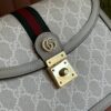 sy_no_49DDC01BB41E5B268BEFDB27FD0BDA01_5 Ophidia Small Top Handle Bag – Signature Canvas