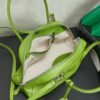 Miu Miu Vivant Medium Lambskin Crossbody/Shoulder/Handbag