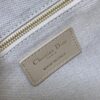 sy_no_5824F544212BF6759F6A92BE7C4E1687_8 Dior Women's Handbag: Vintage-Style Embroidered, Stylish, and Versatile Shoulder Bag