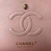 sy_no_5896192C2AD3633C765296524403B0F7_5 Chanel Flap Shoulder/Crossbody Bag
