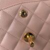 sy_no_5896192C2AD3633C765296524403B0F7_7 Chanel Flap Shoulder/Crossbody Bag