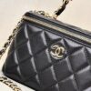 sy_no_60589EF1A17AC215607838F4CE0D7199_3 Chanel Quilted Box Bag / Vanity Case with Double-C Logo and Leather-Woven Chain (Handheld, Shoulder, or Crossbody)