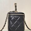 sy_no_60589EF1A17AC215607838F4CE0D7199_5 Chanel Quilted Box Bag / Vanity Case with Double-C Logo and Leather-Woven Chain (Handheld, Shoulder, or Crossbody)