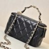 sy_no_60589EF1A17AC215607838F4CE0D7199_6 Chanel Quilted Box Bag / Vanity Case with Double-C Logo and Leather-Woven Chain (Handheld, Shoulder, or Crossbody)