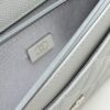 sy_no_67E362A06813A5F4CBB2A80C608267D7_8 Gray Quilted Textured Calfskin WOC Chain Wallet