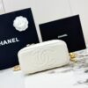 sy_no_6E14FAD126A47B1F1F094A9136D36AFC_3 Chanel 24K Large Pearl Ball Vanity Bag – Lambskin Leather with Gold Chain