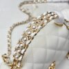 sy_no_74C40780E696997A231D64465F0A7FBF_5 Chanel 26C Pearl Handle Bag – Grained Calfskin Leather with Gold Hardware