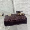 sy_no_7707AB176CF673238F4517FDD3BAC090_6 New Dior Bow-Detail Lambskin Handbag/Shoulder Bag
