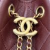 Chanel Quilted Chain Hobo Bag (Handheld, Shoulder, and Crossbody)