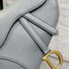 DIOR Women’s Grained Calfskin Saddle Bag