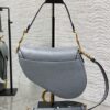 DIOR Women’s Grained Calfskin Saddle Bag