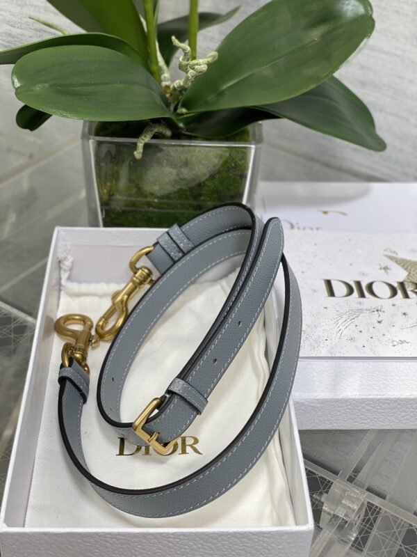 DIOR Women’s Grained Calfskin Saddle Bag