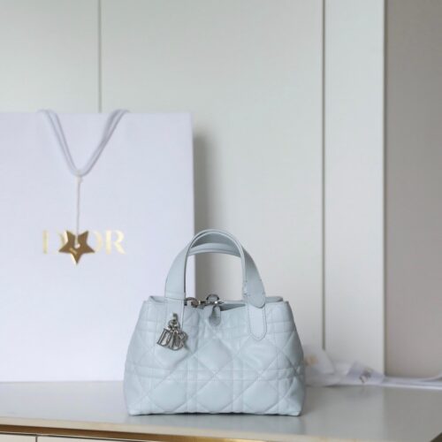 Toujours Small Horizontal Bag – Ice Blue