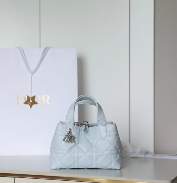 sy_no_850FCE39383CF63DFFCD3D16881C3F4E_0 Toujours Small Horizontal Bag – Ice Blue