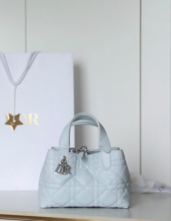 sy_no_850FCE39383CF63DFFCD3D16881C3F4E_1 Toujours Small Horizontal Bag – Ice Blue