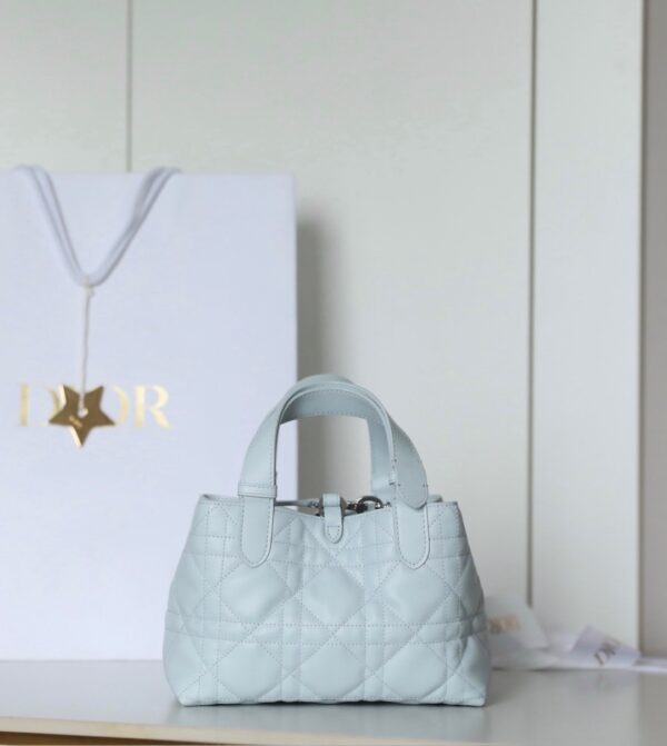 Toujours Small Horizontal Bag – Ice Blue