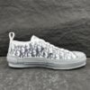 Dior B23 Grey Oblique Transparent Low-Top Sneakers