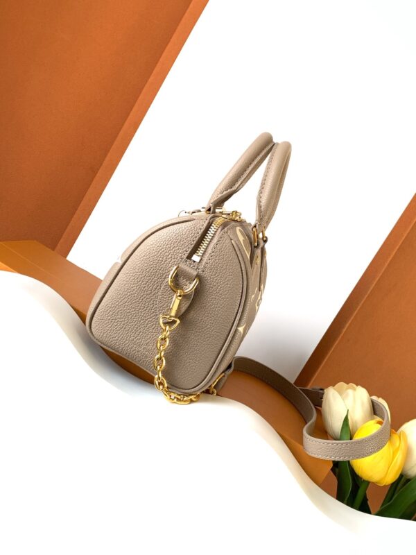 Speedy Bandoulière 20 Handbag